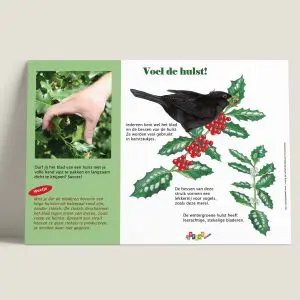 Voel de hulst