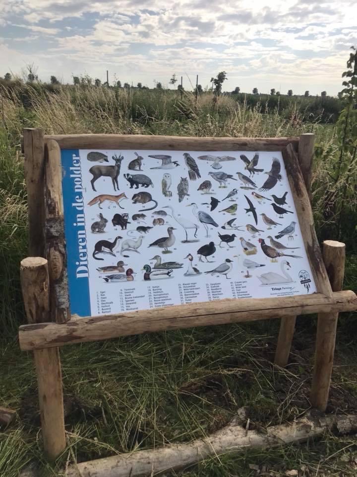Ben  je op zoek naar exclusieve natuurillustraties – voor in een tijdschrift, boek of op een informatiepaneel- of wil je zelf een informatiepaneel of een ander product laten ontwerpen? Dan ben je hier aan het goede adres.
