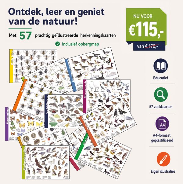 Set herkenningskaarten