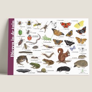 Herkenningskaart Dieren in tuin
