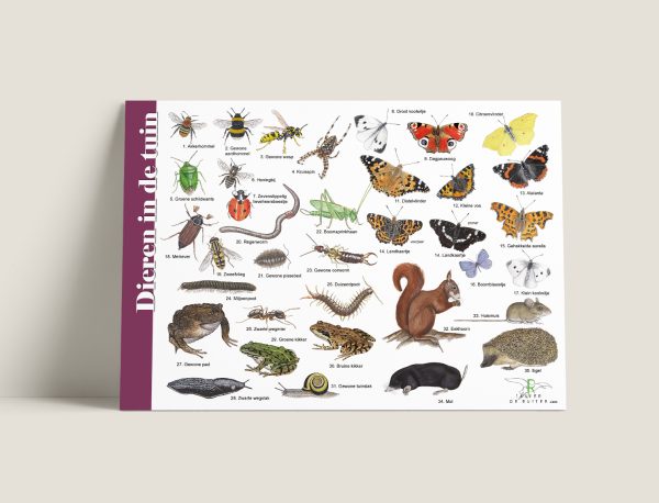Herkenningskaart Dieren in tuin