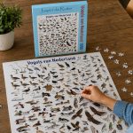Puzzel vogels van Nederland