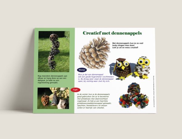 Creatief met dennenappels